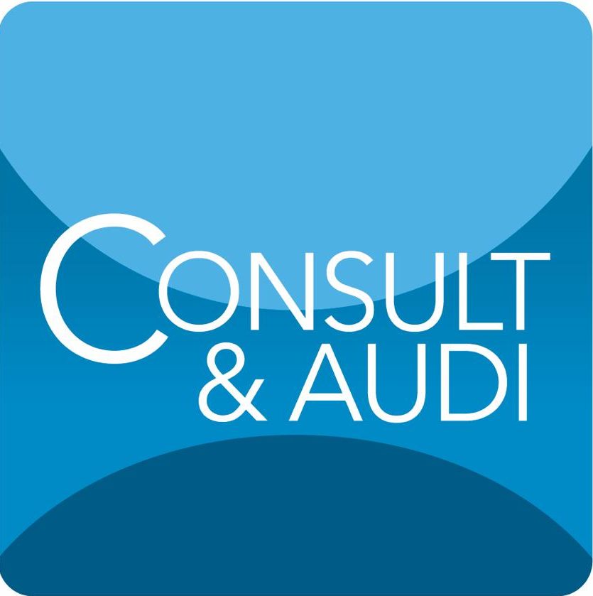 Consultaudi